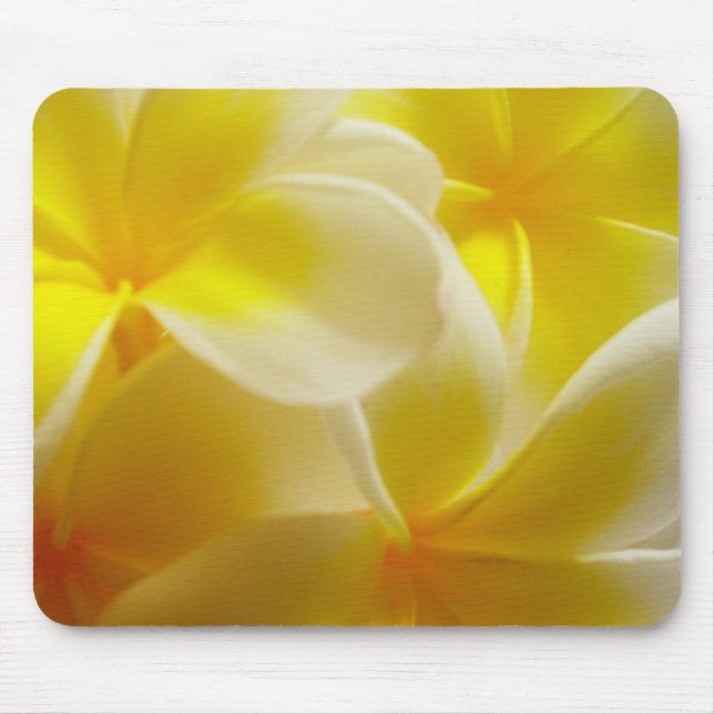 Frangipani Mousepad (Vorne)