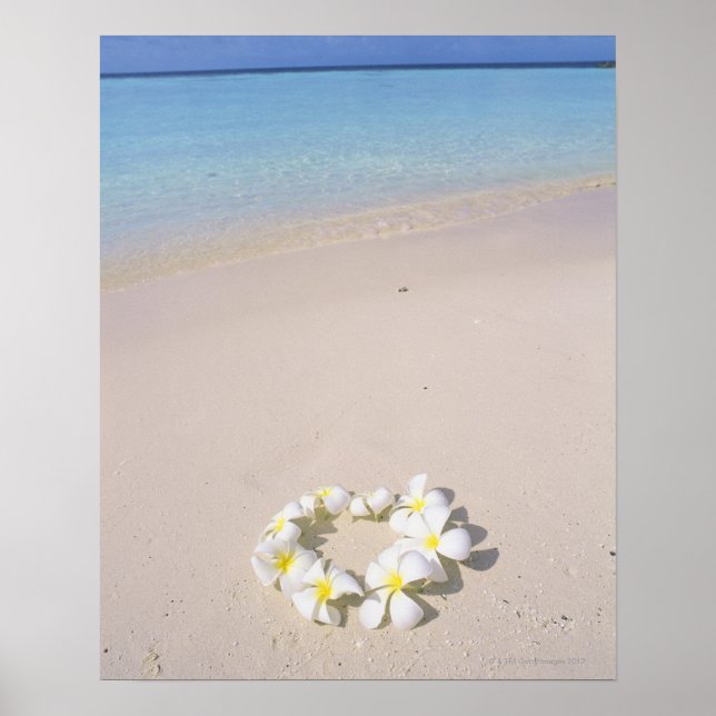 Frangipani on the beach poster (Vorne)