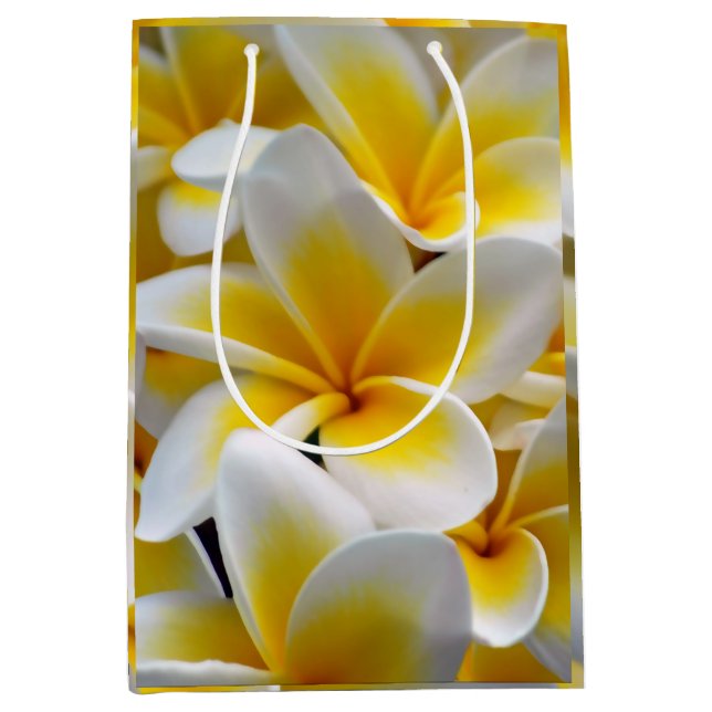 Frangipani Plumeria Blume Foto Mittlere Geschenktüte (Vorderseite)
