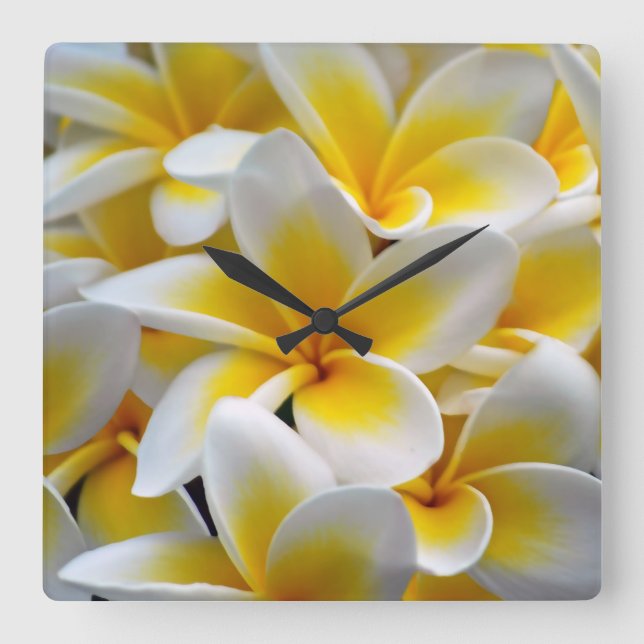 Frangipani Plumeria Flower Photo Quadratische Wanduhr (Vorderseite)