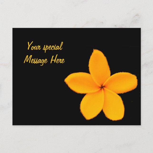 Frangipani Postkarte (Vorderseite)