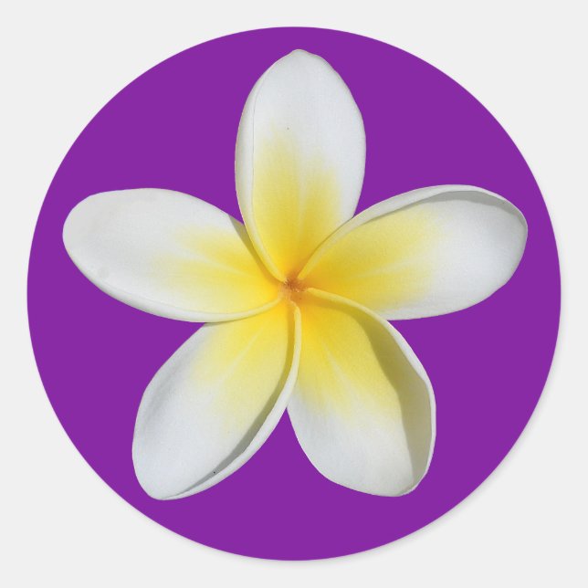 Frangipani Runder Aufkleber (Vorderseite)