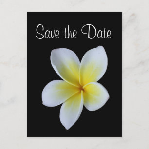 Frangipani Save-the-Date-Hochzeitsankündigung Ankündigungspostkarte