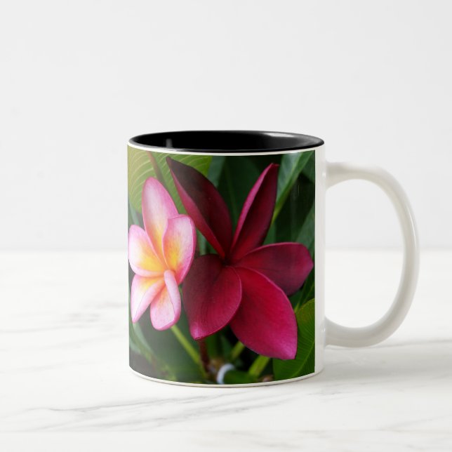 Frangipani-Tasse: Darwin-Sonnenuntergang u. Hilo Zweifarbige Tasse (Rechts)
