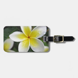 Frangipani- und Regentropfen-Gepäckanhänger Gepäckanhänger