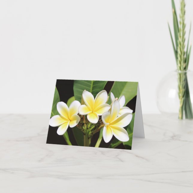 Frangipani vietnamien Carte pour notes de toutes l (Devant)