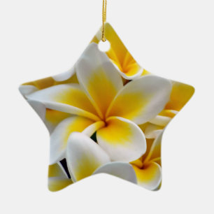 Frangipaniplumeria-Blumen-Foto Keramikornament