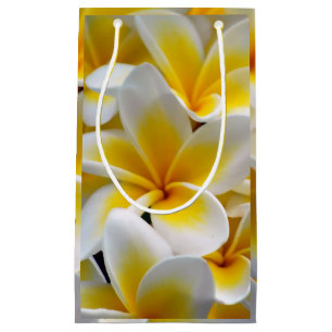 Frangipaniplumeria-Blumen-Foto Kleine Geschenktüte