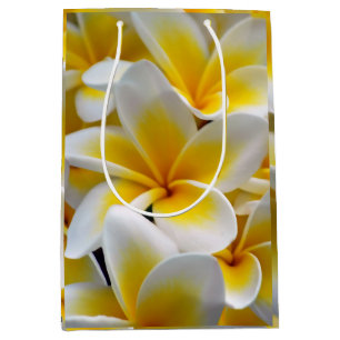 Frangipaniplumeria-Blumen-Foto Mittlere Geschenktüte
