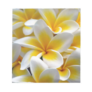 Frangipaniplumeria-Blumen-Foto Notizblock