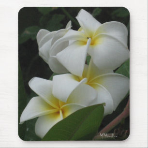 Frangipanis-Foto Mousepad