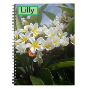 Frangipanis mit Schmetterling, individuelles Noteb Notizblock