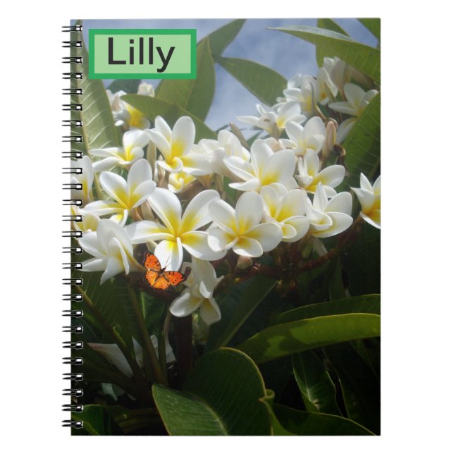 Frangipanis mit Schmetterling, individuelles Noteb Notizblock (Vorderseite)