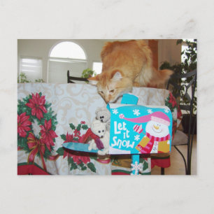 Frank&Leo: He is here! Santa? No, the cat! Feiertagspostkarte