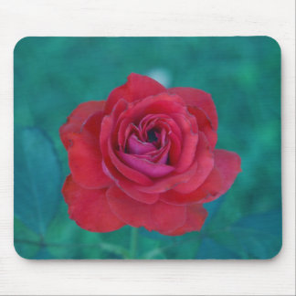 Frank-Rose Mousepad