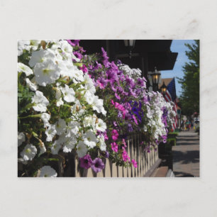 Frankenmuth, Michigan Postkarte