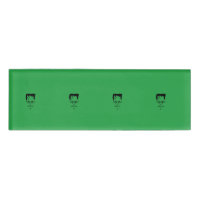 Frankenstein Name Tag