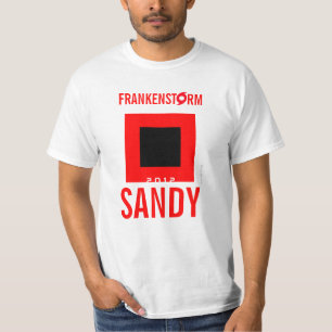 Frankenstorm Sandy Hurrikan-Überlebend-T - Shirt 