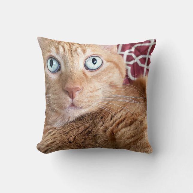 Frankie Kissen (Vorderseite)