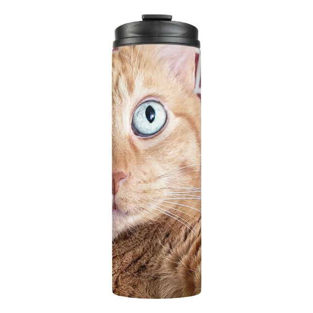 Frankie Thermosbecher (Vorderseite)