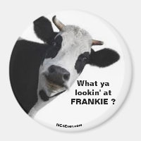 FRANKIE Was du dir ansiehst, lustiger Magnet?