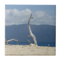 Franklandinseln Keramik Tile