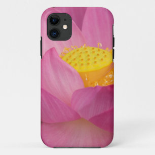 Franklin NC, Perry Water Garden, Lotus 2 title_seo2
