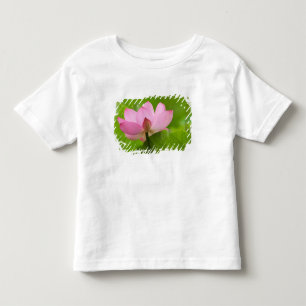 Franklin NC, Perry Water Garden, Lotus Kleinkind T-shirt