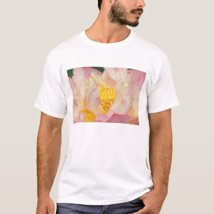 Franklin NC, Perry Water Garden, Lotus mit T-Shirt