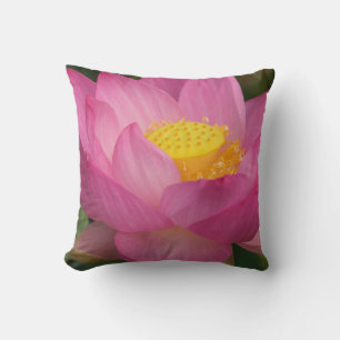 Franklin NC, Perry's Water Garden, Lotus 2 Kissen