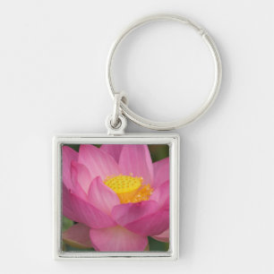 Franklin NC, Perry's Water Garden, Lotus 2 Schlüsselanhänger