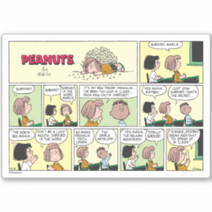 Franklin, Peppermint Patty & Marcie   Math-Klasse Aufkleber