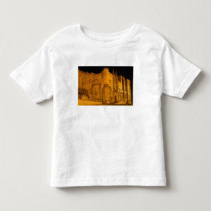 Frankreich, Avignon, Provence, Papstpalast bei Nac Kleinkind T-shirt