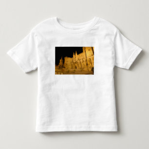 Frankreich, Avignon, Provence, Papstpalast bei Nac Kleinkind T-shirt