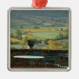 Frankreich, Burgund, Region Maconnais, Schloss Silbernes Ornament