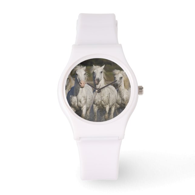 Frankreich, Camargue. Pferderennlauf Armbanduhr (Vorderseite)