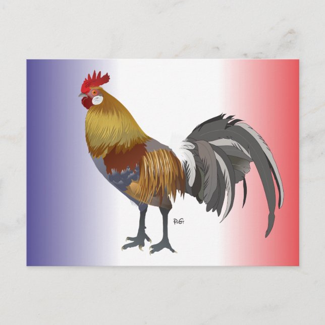 Frankreich - France Postkarte (Vorderseite)