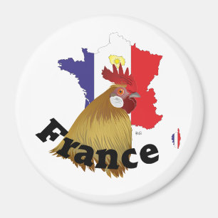 Frankreich Francia Magnete Magnet