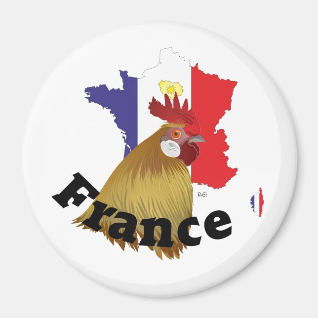 Frankreich Francia Magnete Magnet (Vorne)