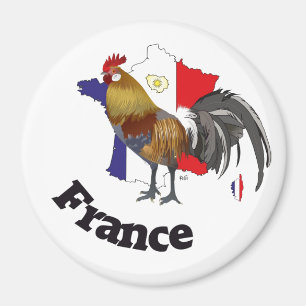 Frankreich Francia Magnete Magnet