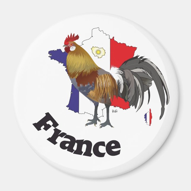 Frankreich Francia Magnete Magnet (Vorne)