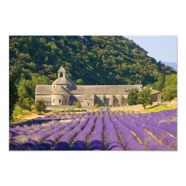 Frankreich, Gordes. Zisterzienserkloster Fotodruck (Vorne)