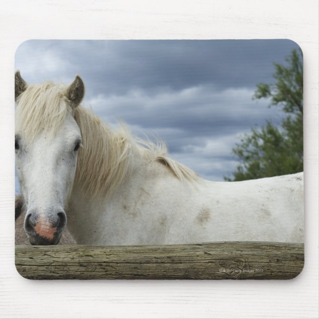 Frankreich Mousepad (Vorne)