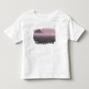 FRANKREICH, Normandie Mont St. Michel. Morgennebel Kleinkind T-shirt