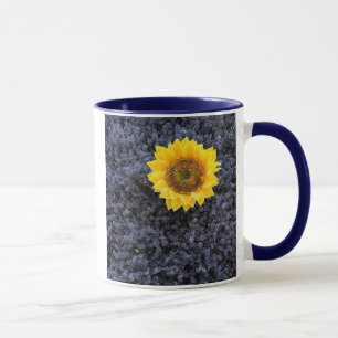 Frankreich, Provence-Alpes-Cote d'Azur Tasse