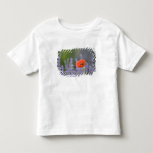 Frankreich, Provence. Einsamer Mohn auf einem Feld Kleinkind T-shirt