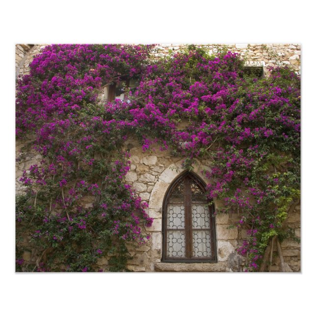 Frankreich, Provence, Eze. Helles Pink Fotodruck (Vorne)