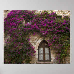 Frankreich, Provence, Eze. Helles Pink Poster