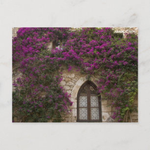Frankreich, Provence, Eze. Helles Pink Postkarte