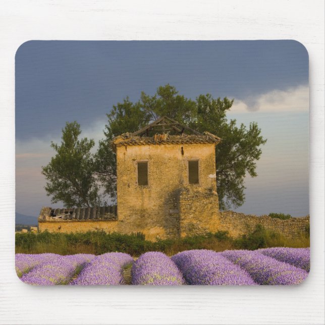 Frankreich, Provence. Lavendel- und Mousepad (Vorne)